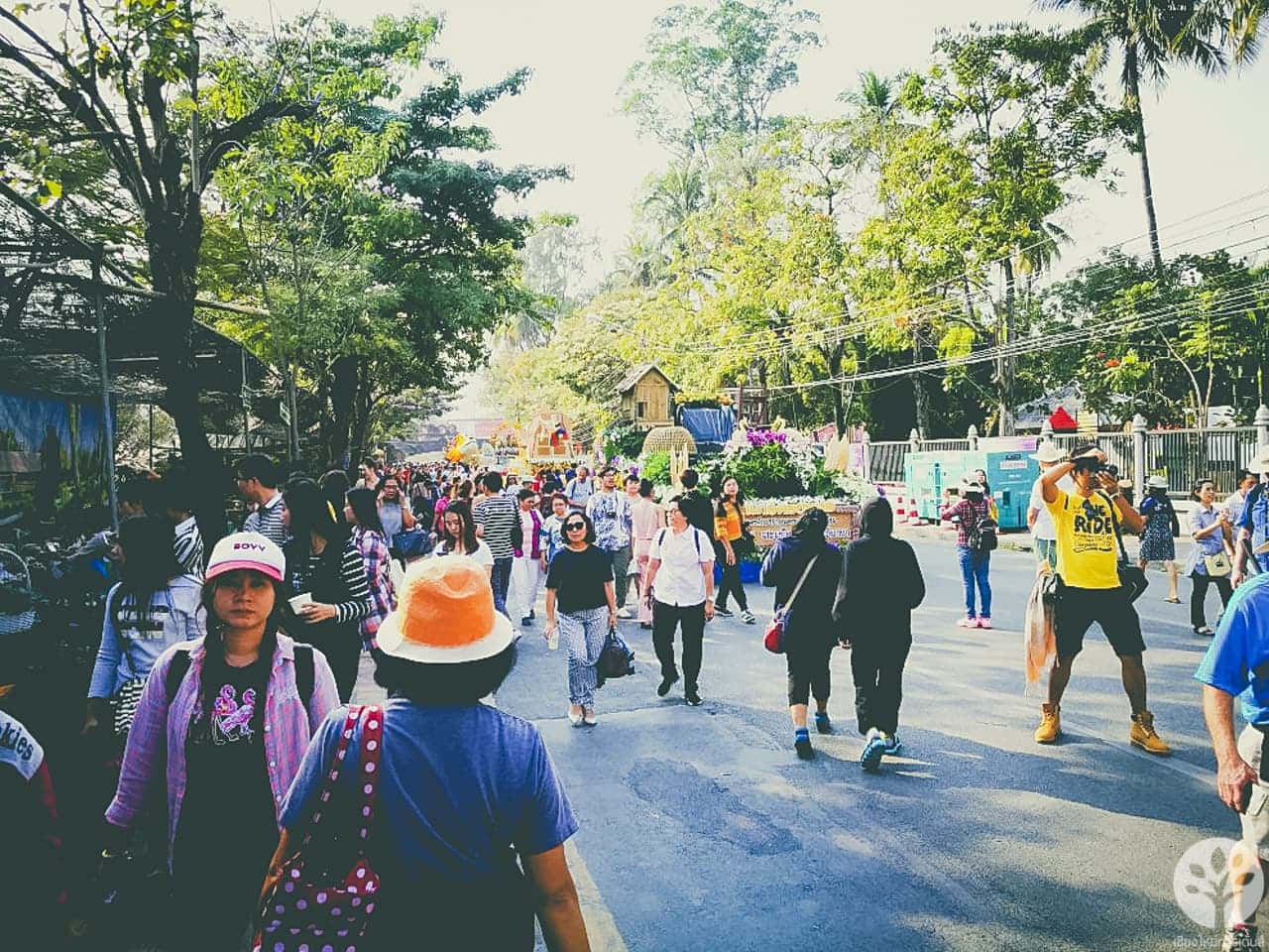 งานไม้ดอก ไม้ประดับ เชียงใหม่ 2561