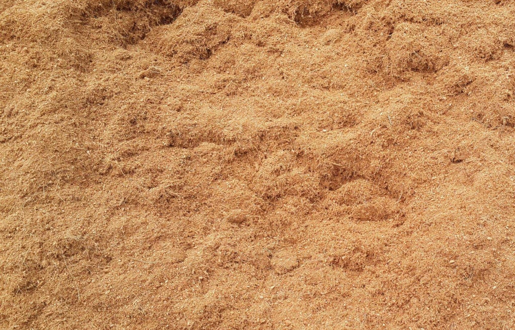 ขุยมะพร้าว