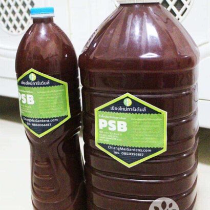 จุลินทรีย์ สังเคราะห์แสง PSB