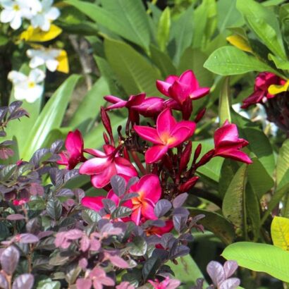 ลีลาวดี