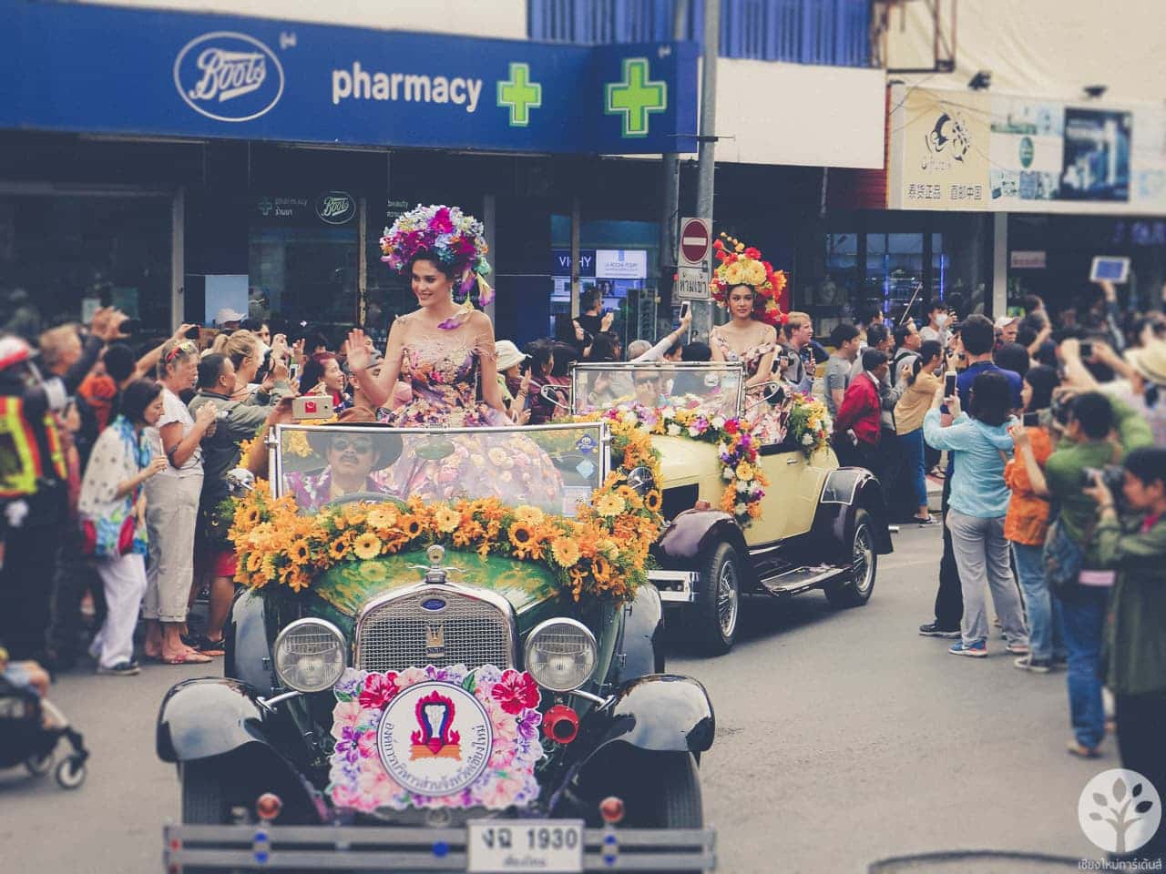 งานไม้ดอก ไม้ประดับ เชียงใหม่ 2561