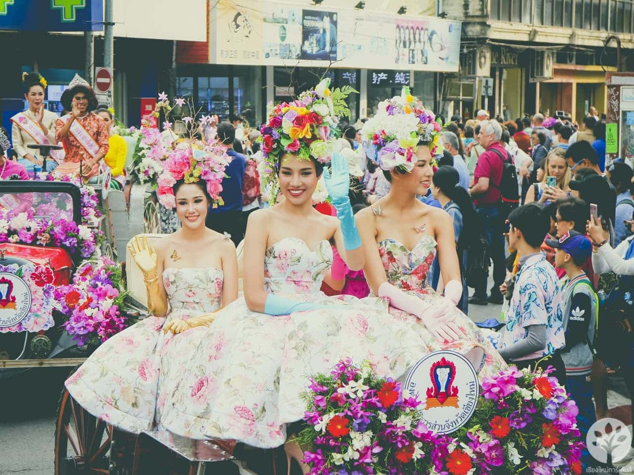 งานไม้ดอก ไม้ประดับ เชียงใหม่ 2561