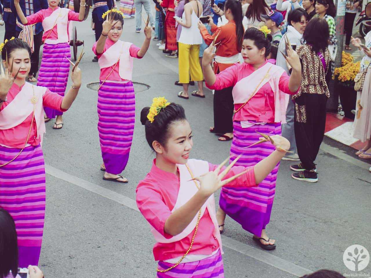 งานไม้ดอก ไม้ประดับ เชียงใหม่ 2561