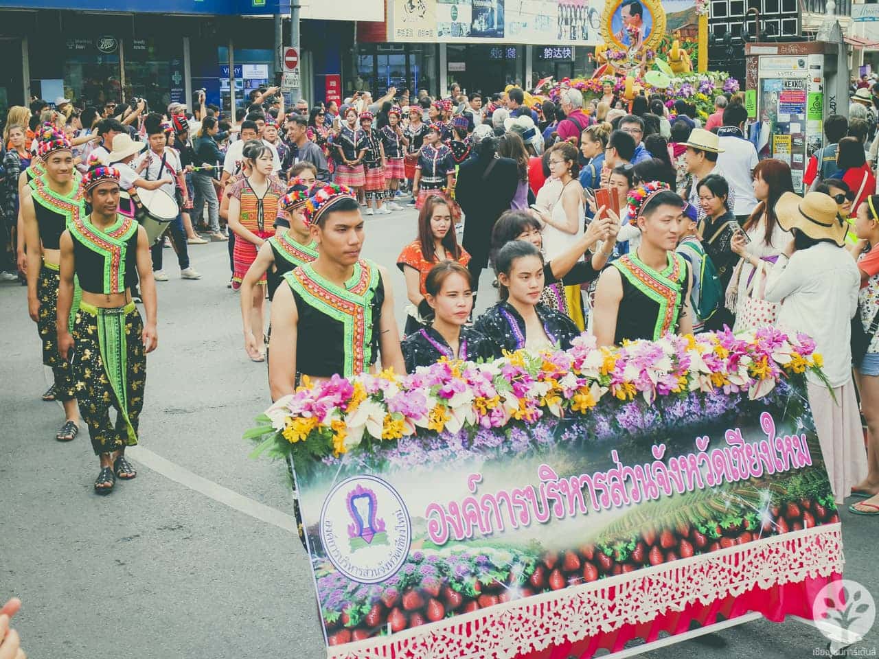 งานไม้ดอก ไม้ประดับ เชียงใหม่ 2561