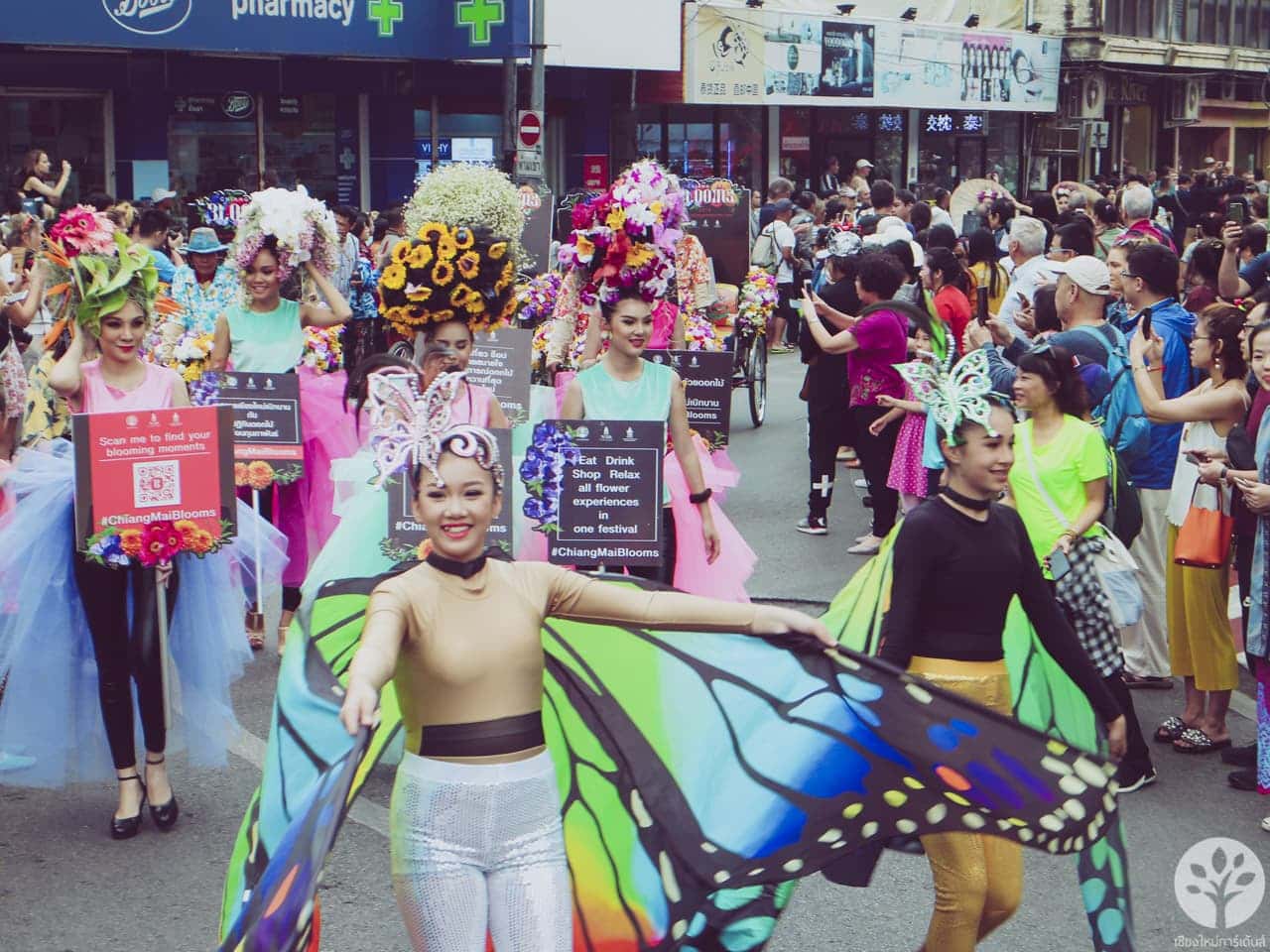 งานไม้ดอก ไม้ประดับ เชียงใหม่ 2561