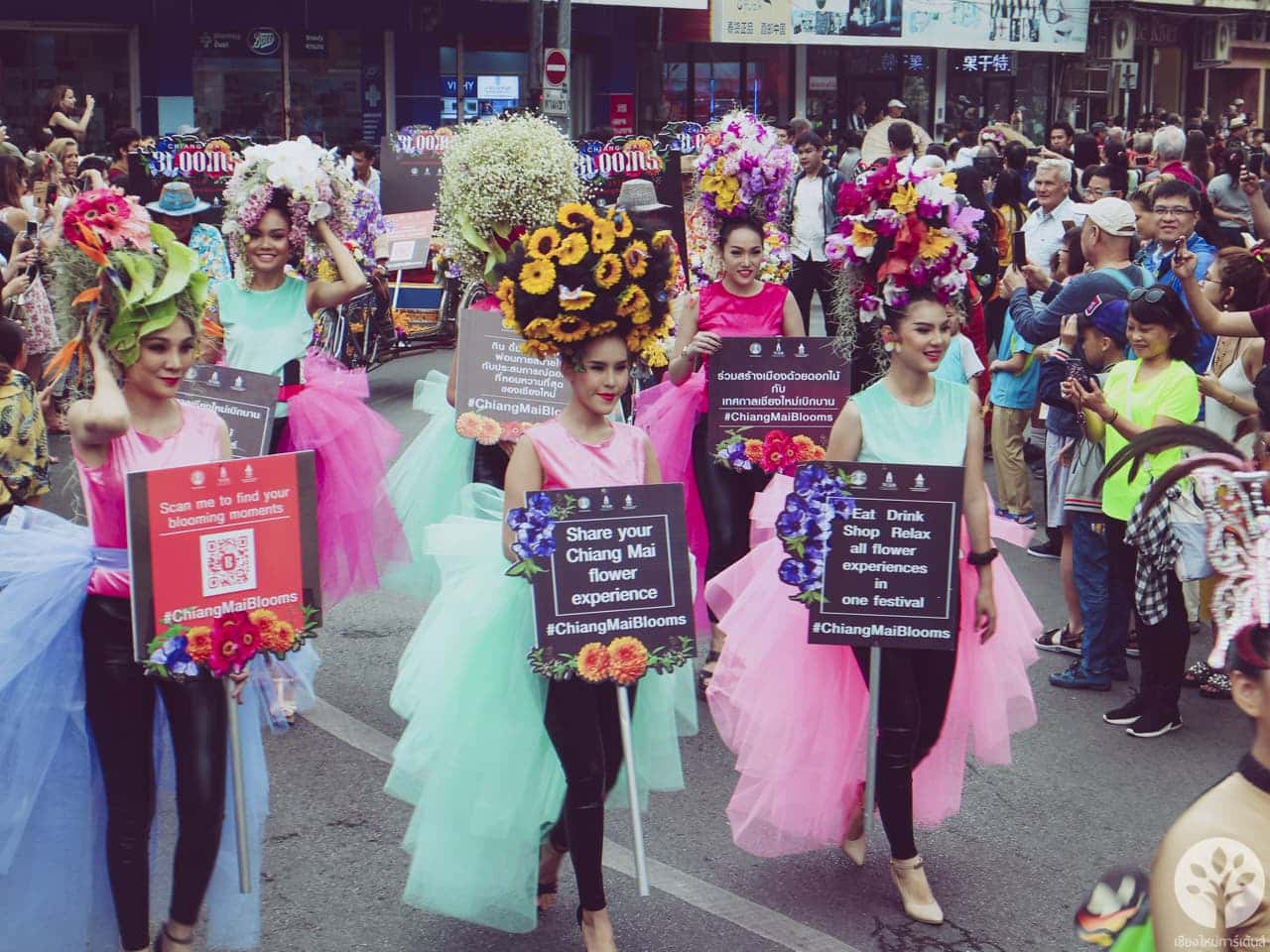 งานไม้ดอก ไม้ประดับ เชียงใหม่ 2561