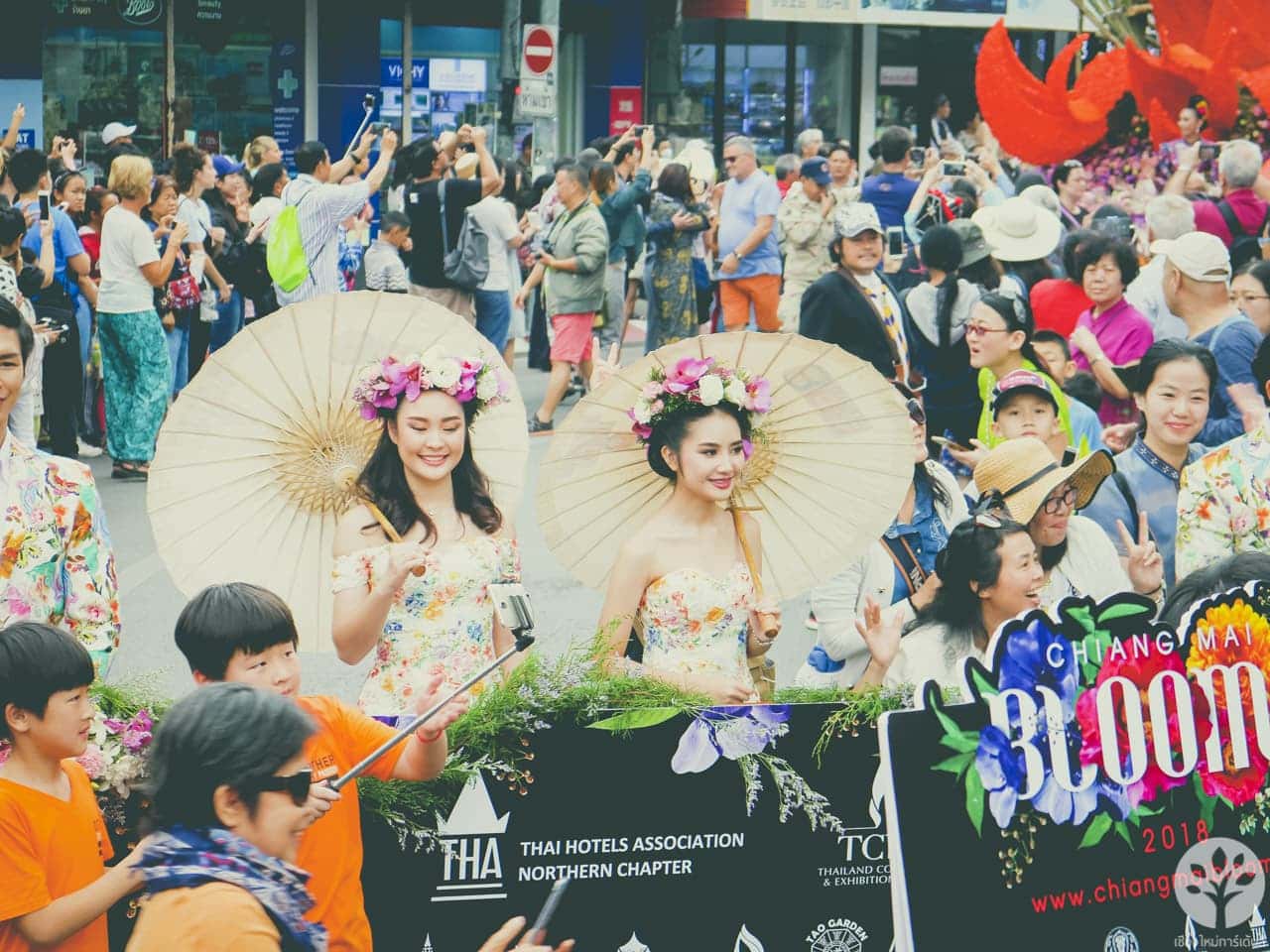 งานไม้ดอก ไม้ประดับ เชียงใหม่ 2561