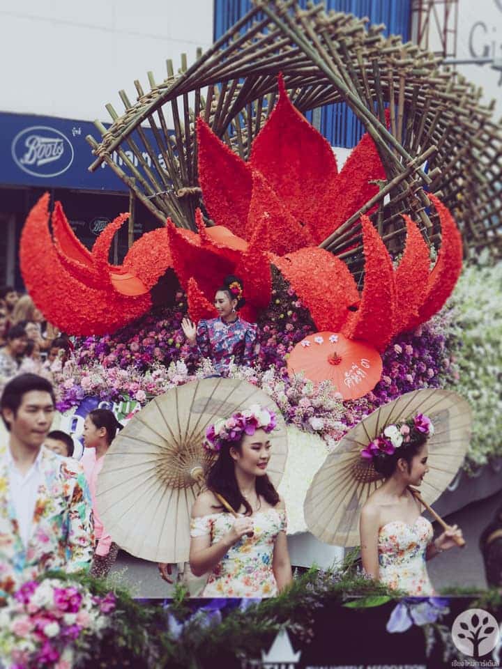 งานไม้ดอก ไม้ประดับ เชียงใหม่ 2561