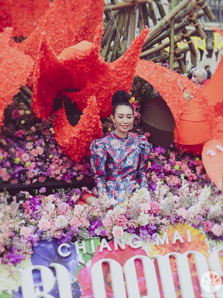 งานไม้ดอก ไม้ประดับ เชียงใหม่ 2561