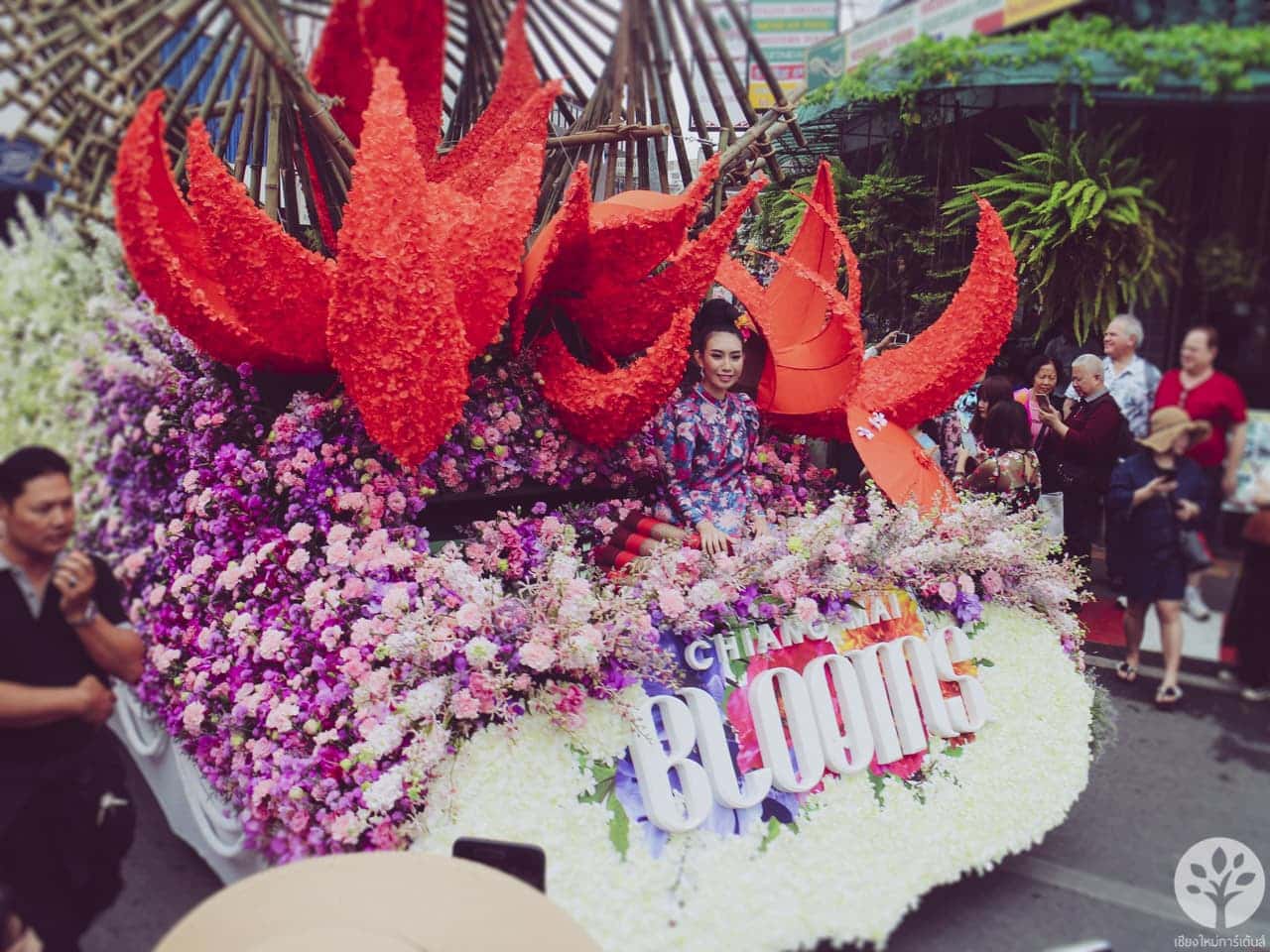 งานไม้ดอก ไม้ประดับ เชียงใหม่ 2561