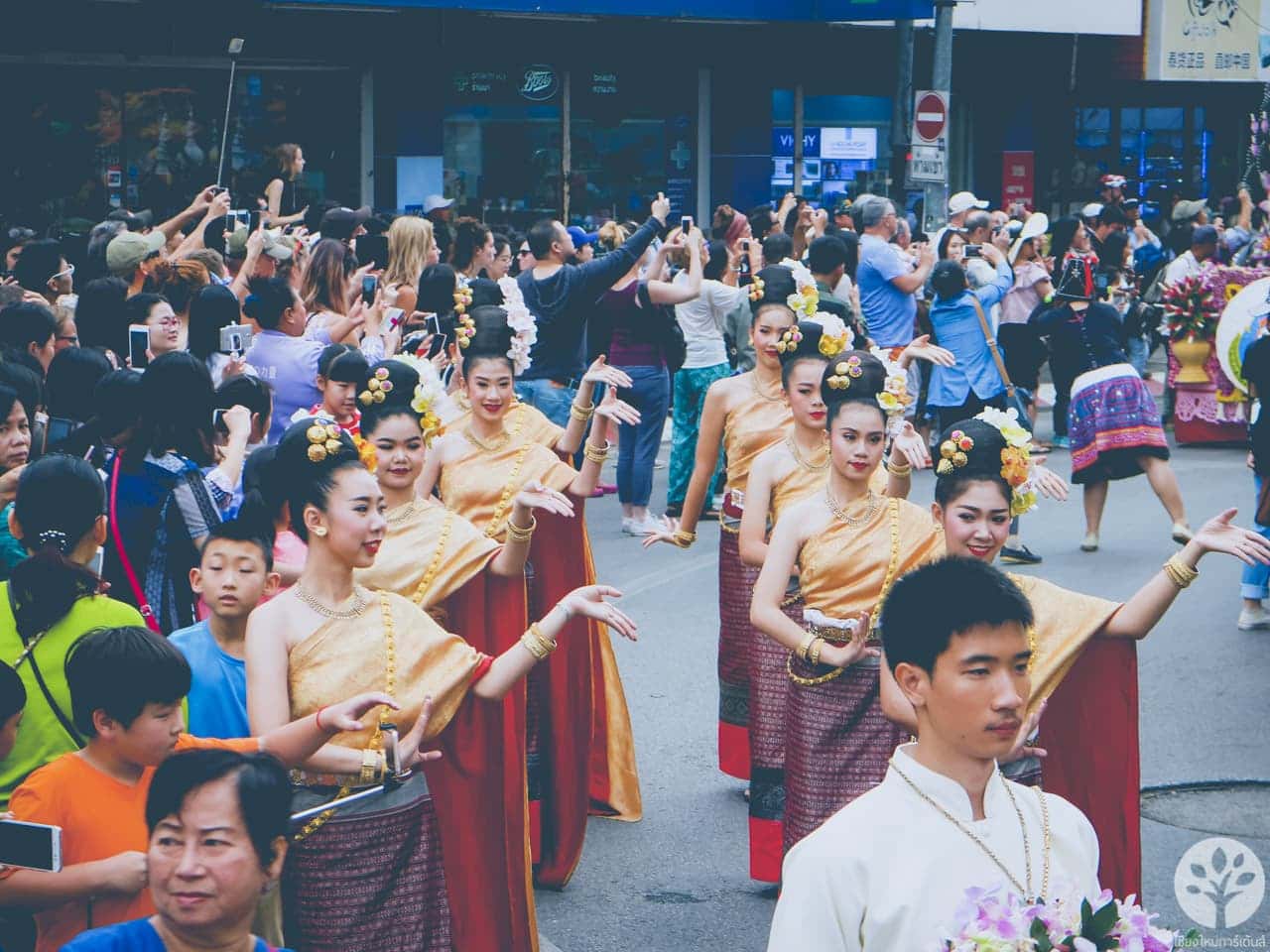 งานไม้ดอก ไม้ประดับ เชียงใหม่ 2561