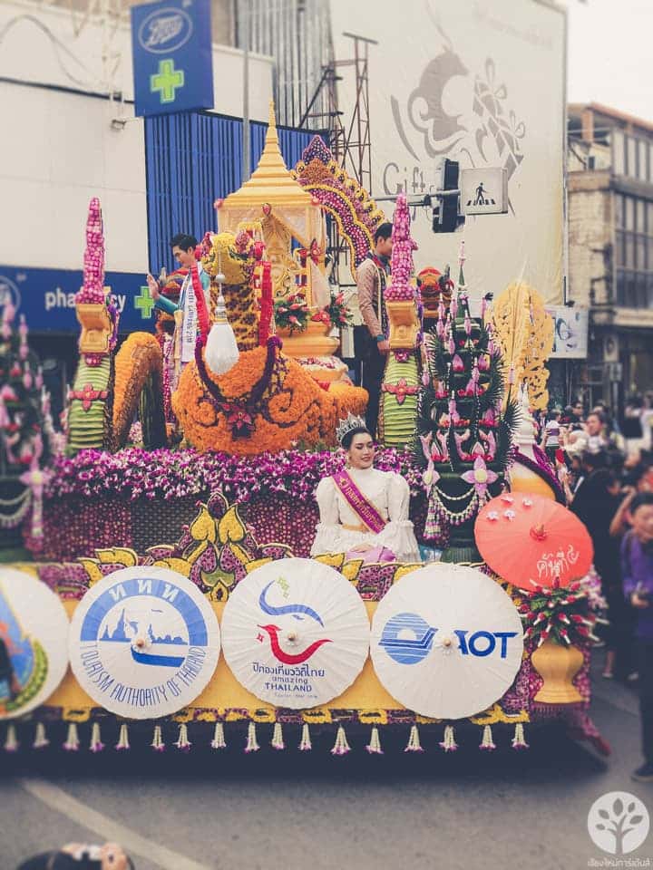 งานไม้ดอก ไม้ประดับ เชียงใหม่ 2561