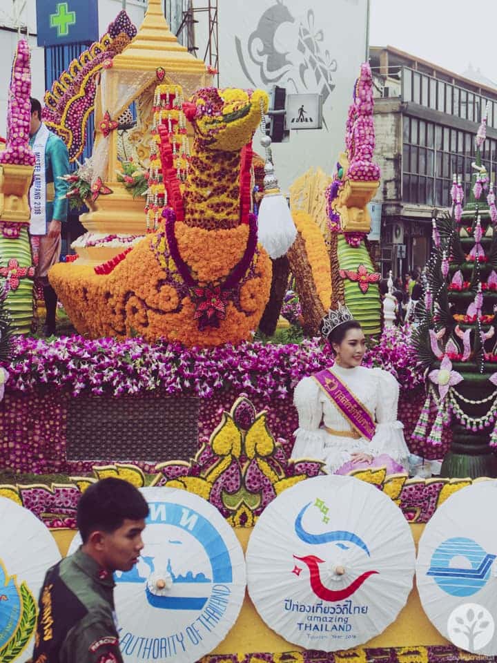 งานไม้ดอก ไม้ประดับ เชียงใหม่ 2561