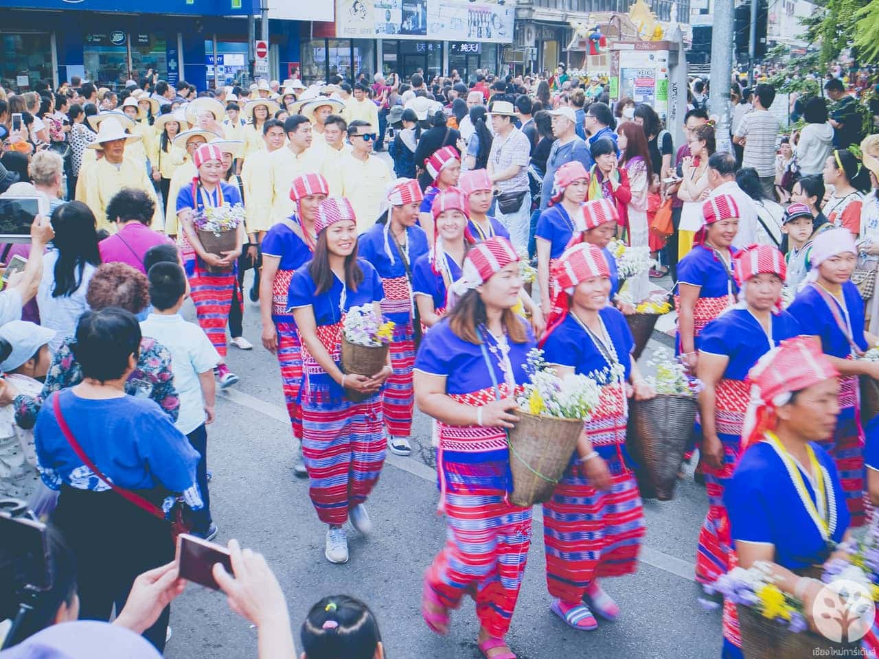 งานไม้ดอก ไม้ประดับ เชียงใหม่ 2561