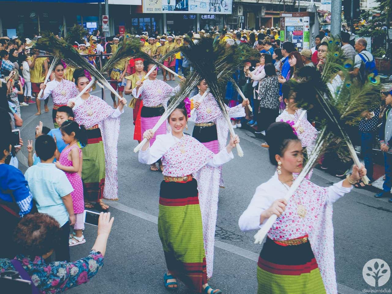 งานไม้ดอก ไม้ประดับ เชียงใหม่ 2561