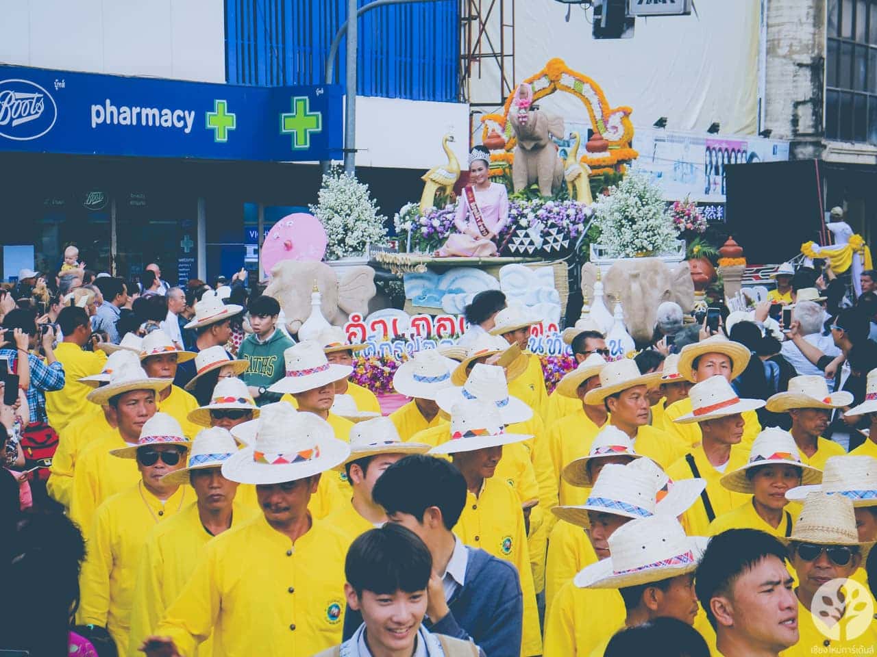 งานไม้ดอก ไม้ประดับ เชียงใหม่ 2561