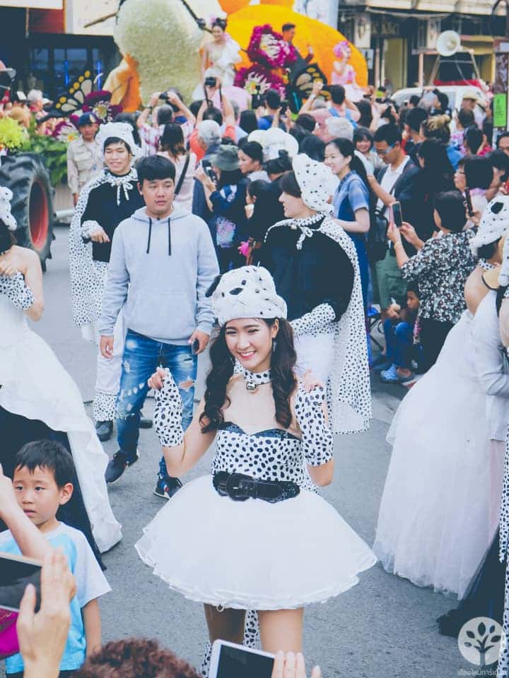 งานไม้ดอก ไม้ประดับ เชียงใหม่ 2561