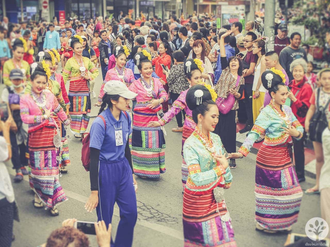 งานไม้ดอก ไม้ประดับ เชียงใหม่ 2561