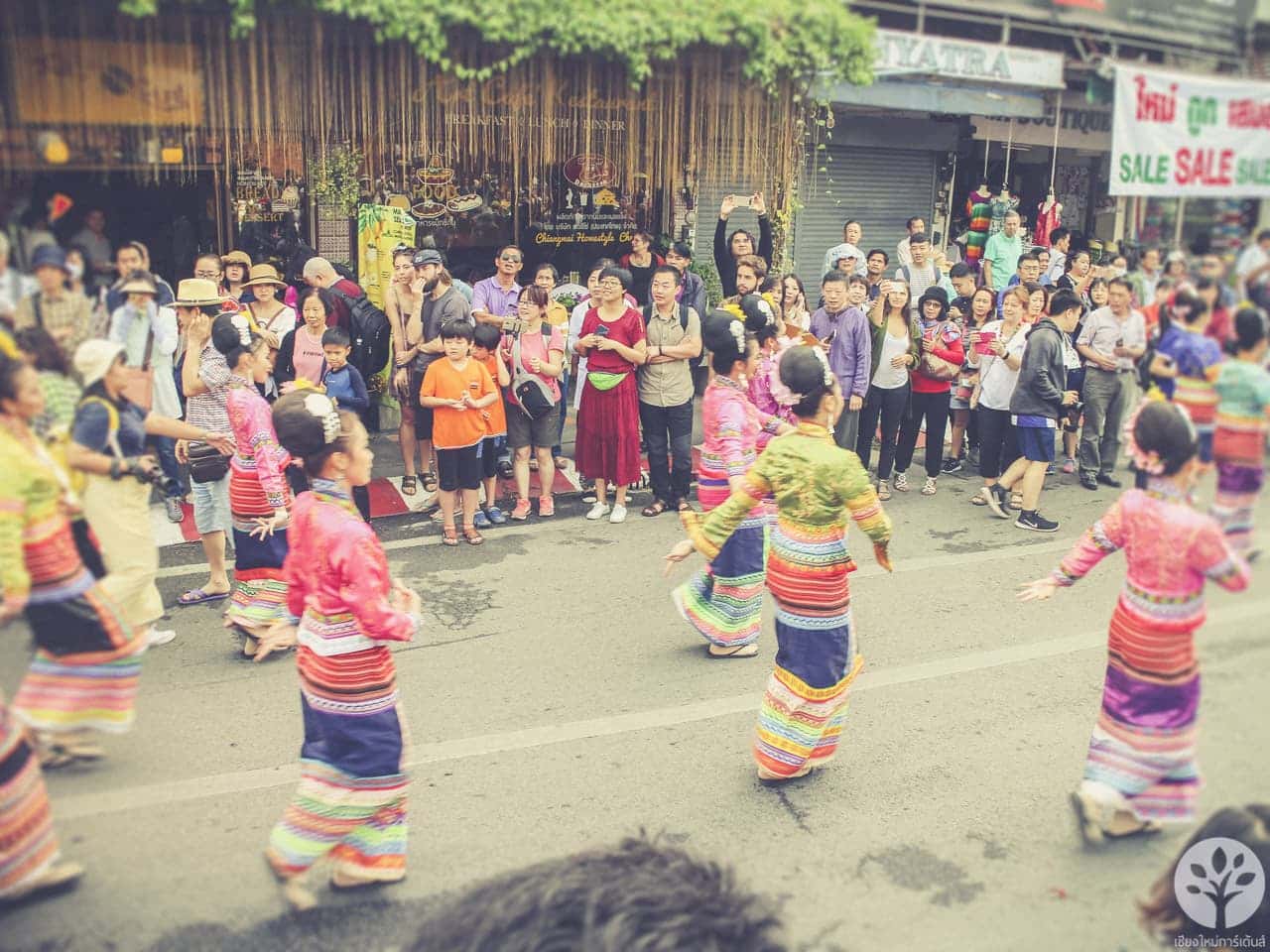 งานไม้ดอก ไม้ประดับ เชียงใหม่ 2561