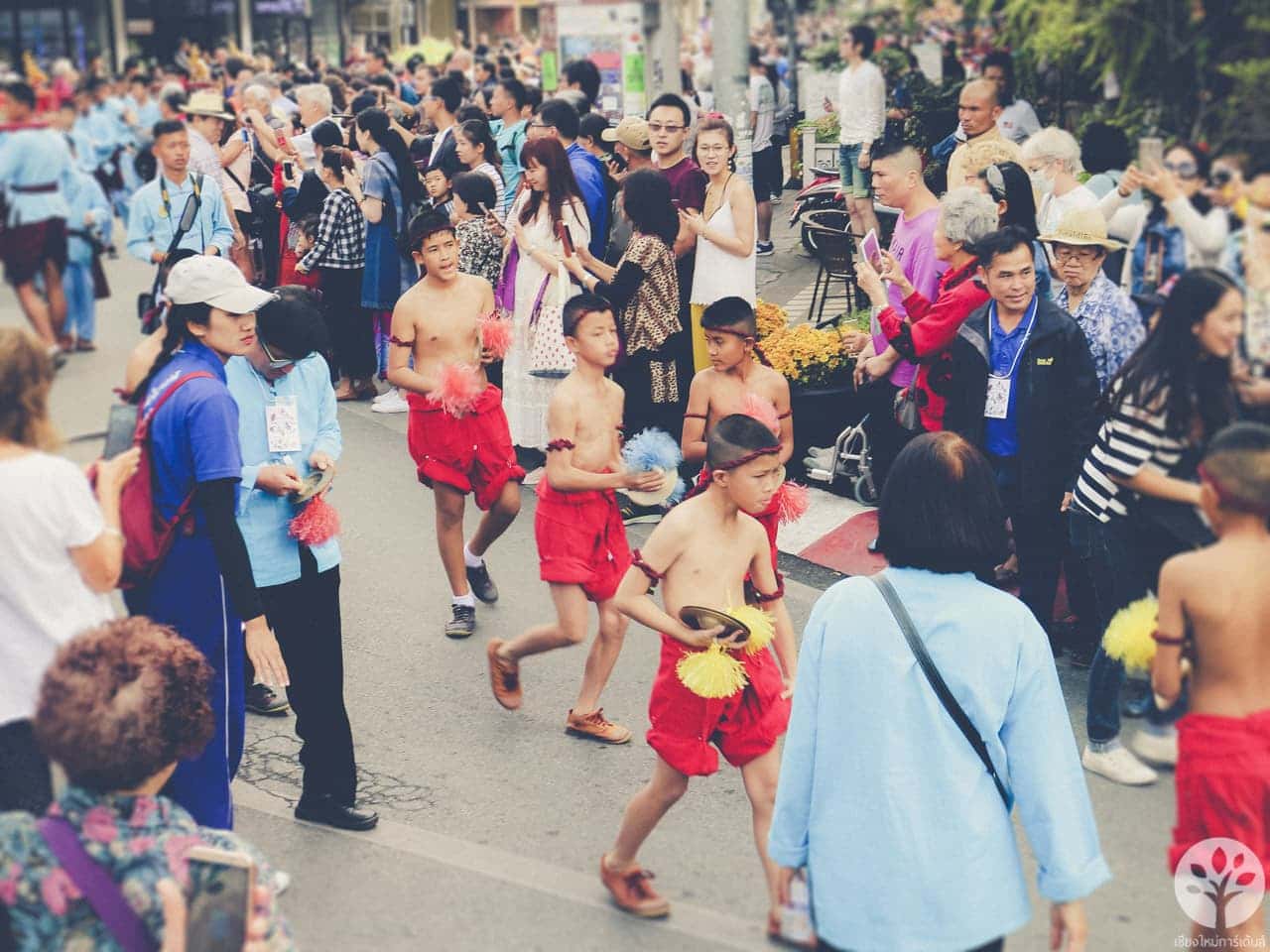 งานไม้ดอก ไม้ประดับ เชียงใหม่ 2561