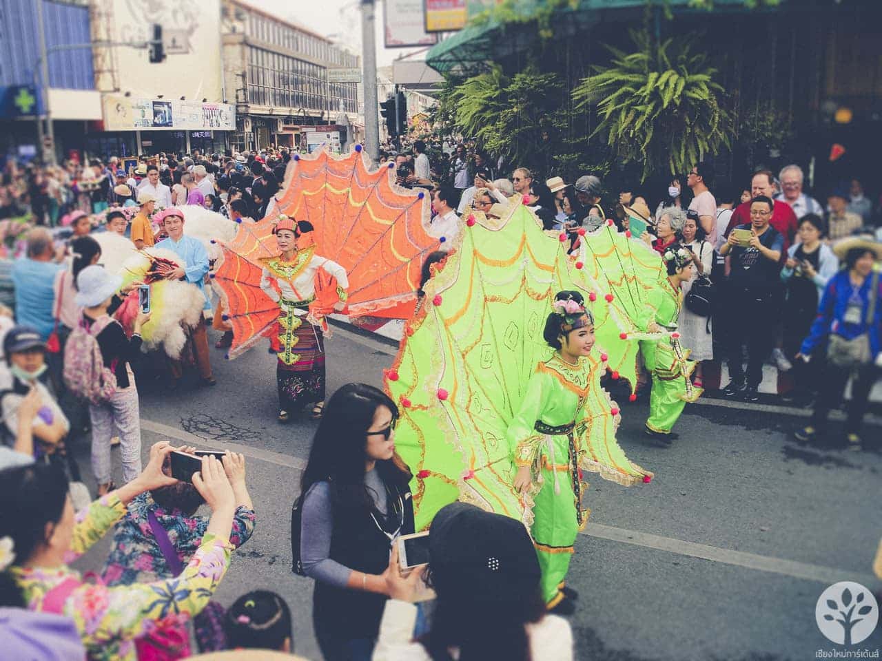 งานไม้ดอก ไม้ประดับ เชียงใหม่ 2561