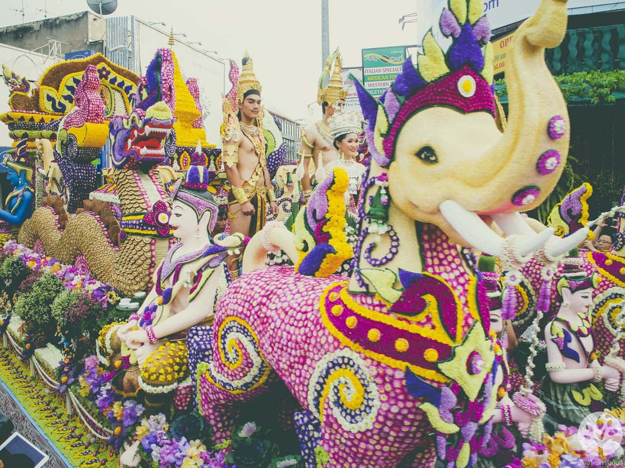 งานไม้ดอก ไม้ประดับ เชียงใหม่ 2561