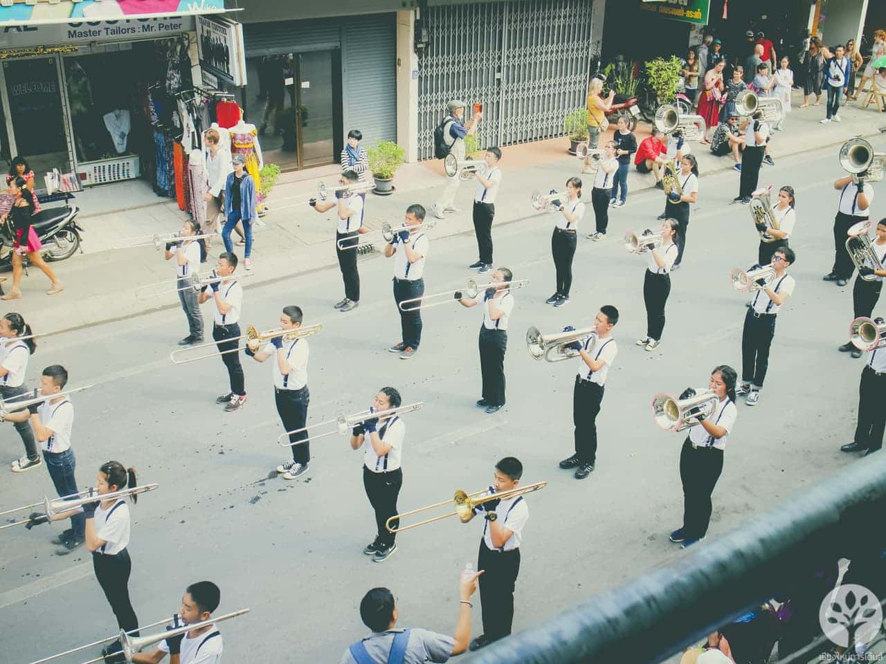 งานไม้ดอก ไม้ประดับ เชียงใหม่ 2561