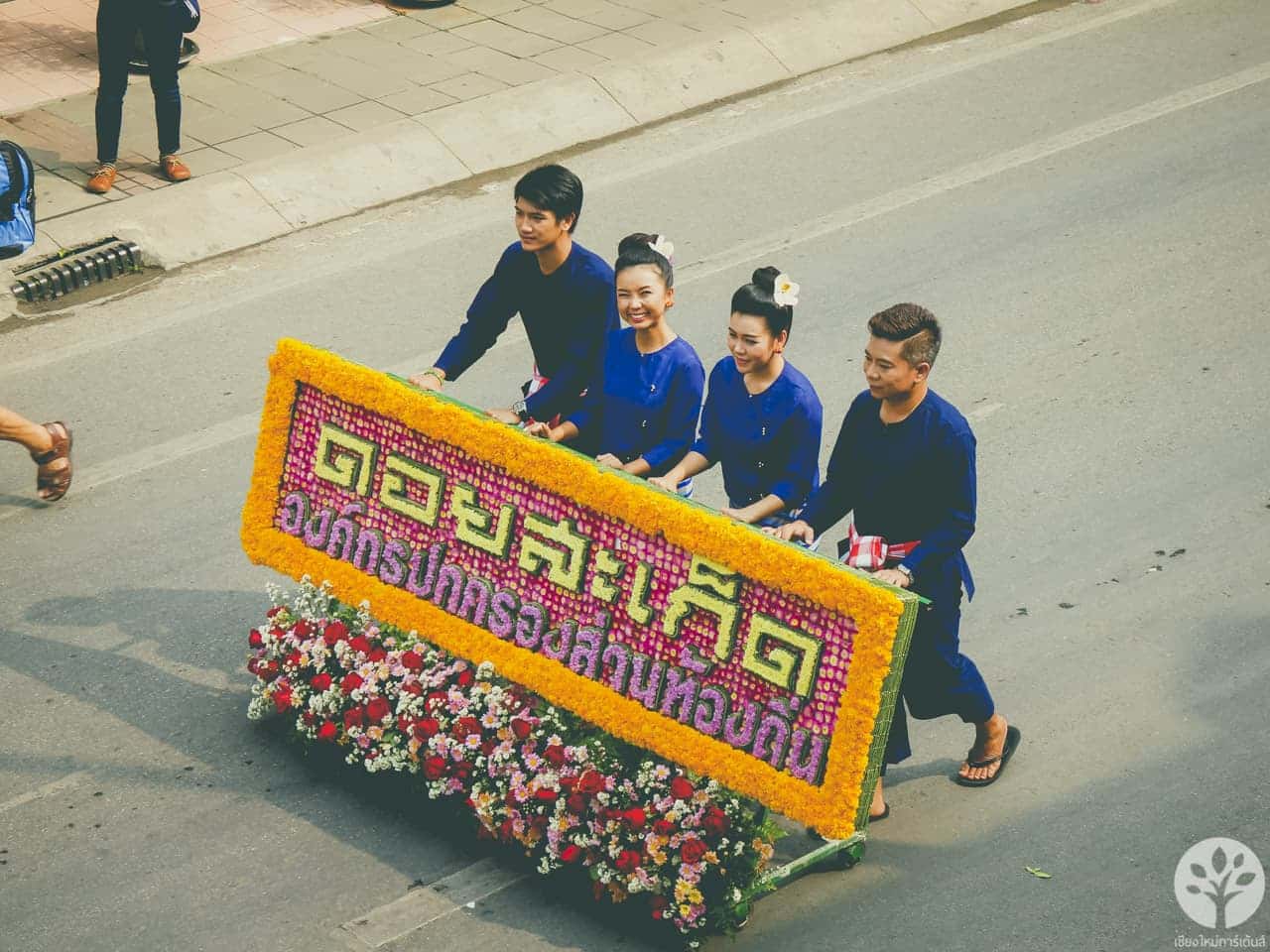 งานไม้ดอก ไม้ประดับ เชียงใหม่ 2561