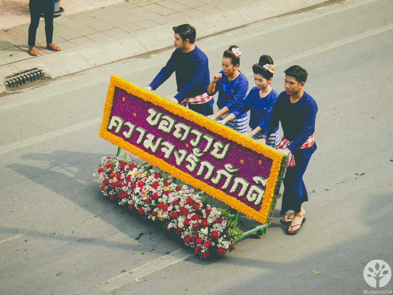 งานไม้ดอก ไม้ประดับ เชียงใหม่ 2561