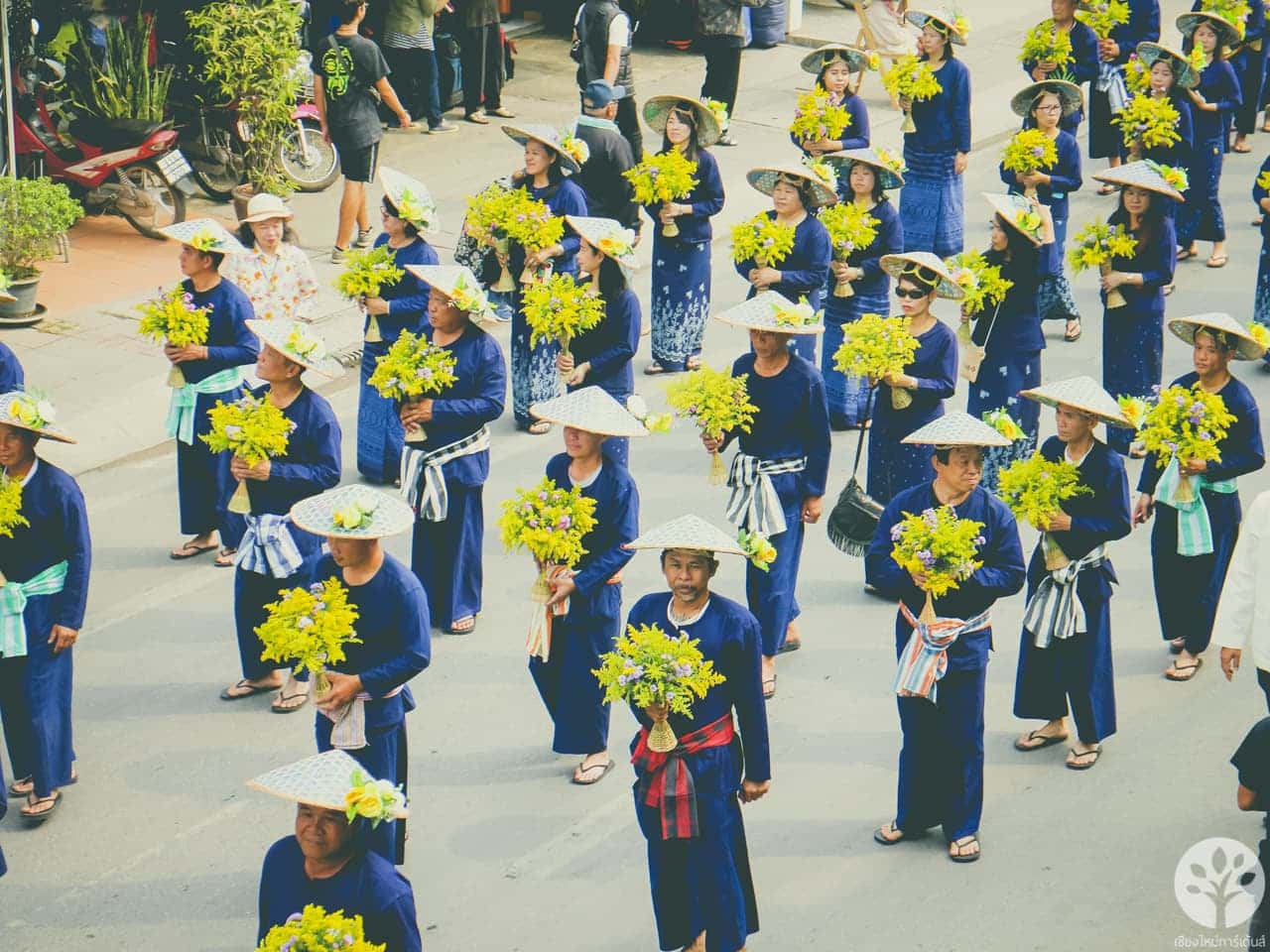 งานไม้ดอก ไม้ประดับ เชียงใหม่ 2561