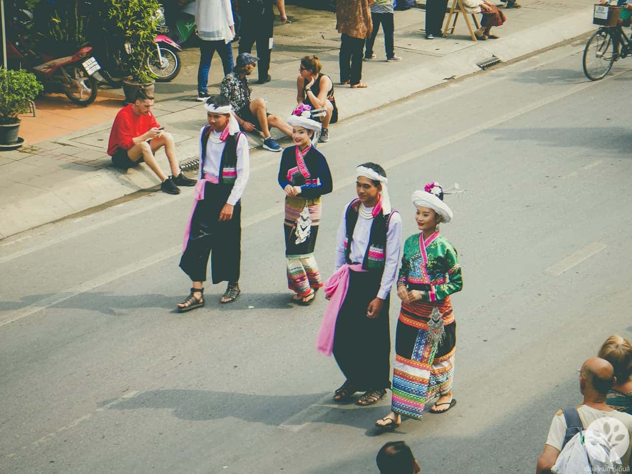 งานไม้ดอก ไม้ประดับ เชียงใหม่ 2561