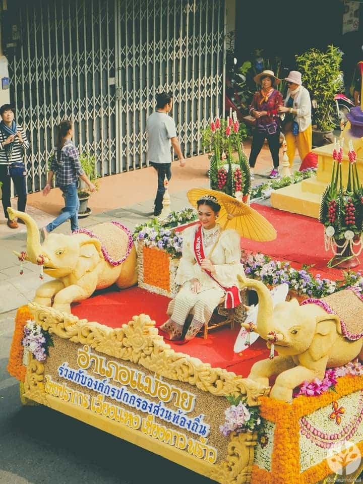 งานไม้ดอก ไม้ประดับ เชียงใหม่ 2561