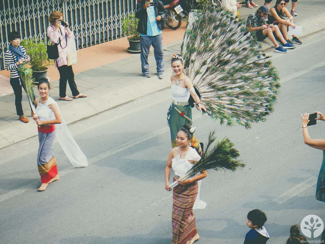 งานไม้ดอก ไม้ประดับ เชียงใหม่ 2561