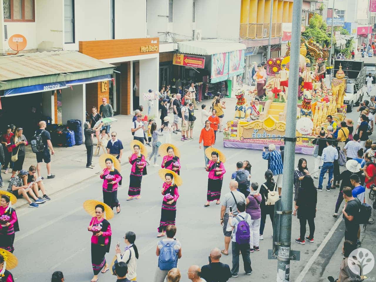 งานไม้ดอก ไม้ประดับ เชียงใหม่ 2561