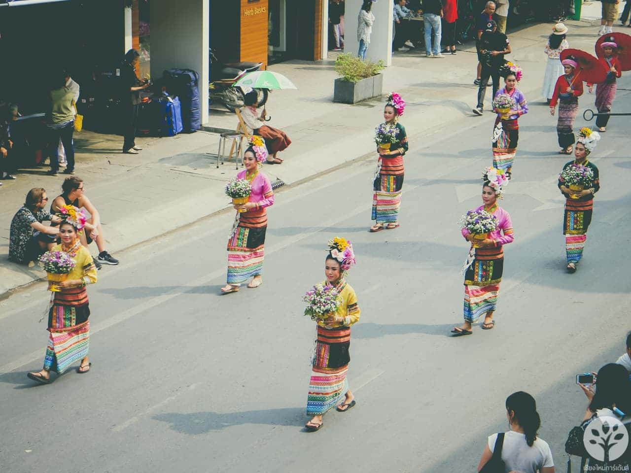 งานไม้ดอก ไม้ประดับ เชียงใหม่ 2561