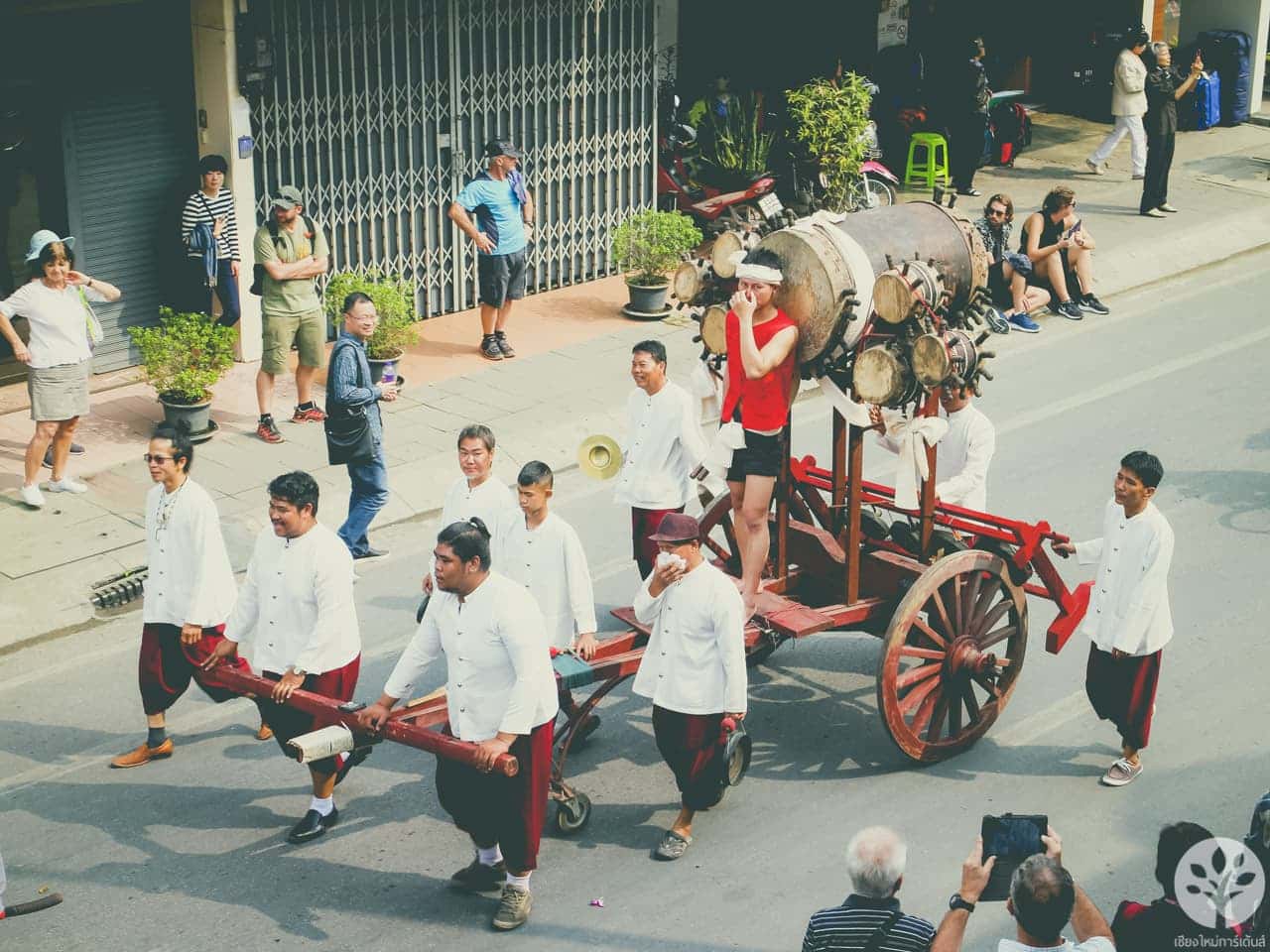 งานไม้ดอก ไม้ประดับ เชียงใหม่ 2561