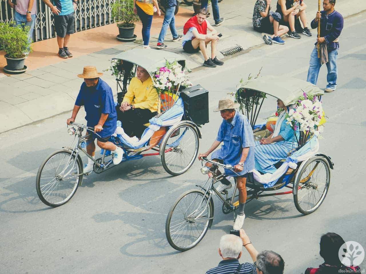 งานไม้ดอก ไม้ประดับ เชียงใหม่ 2561