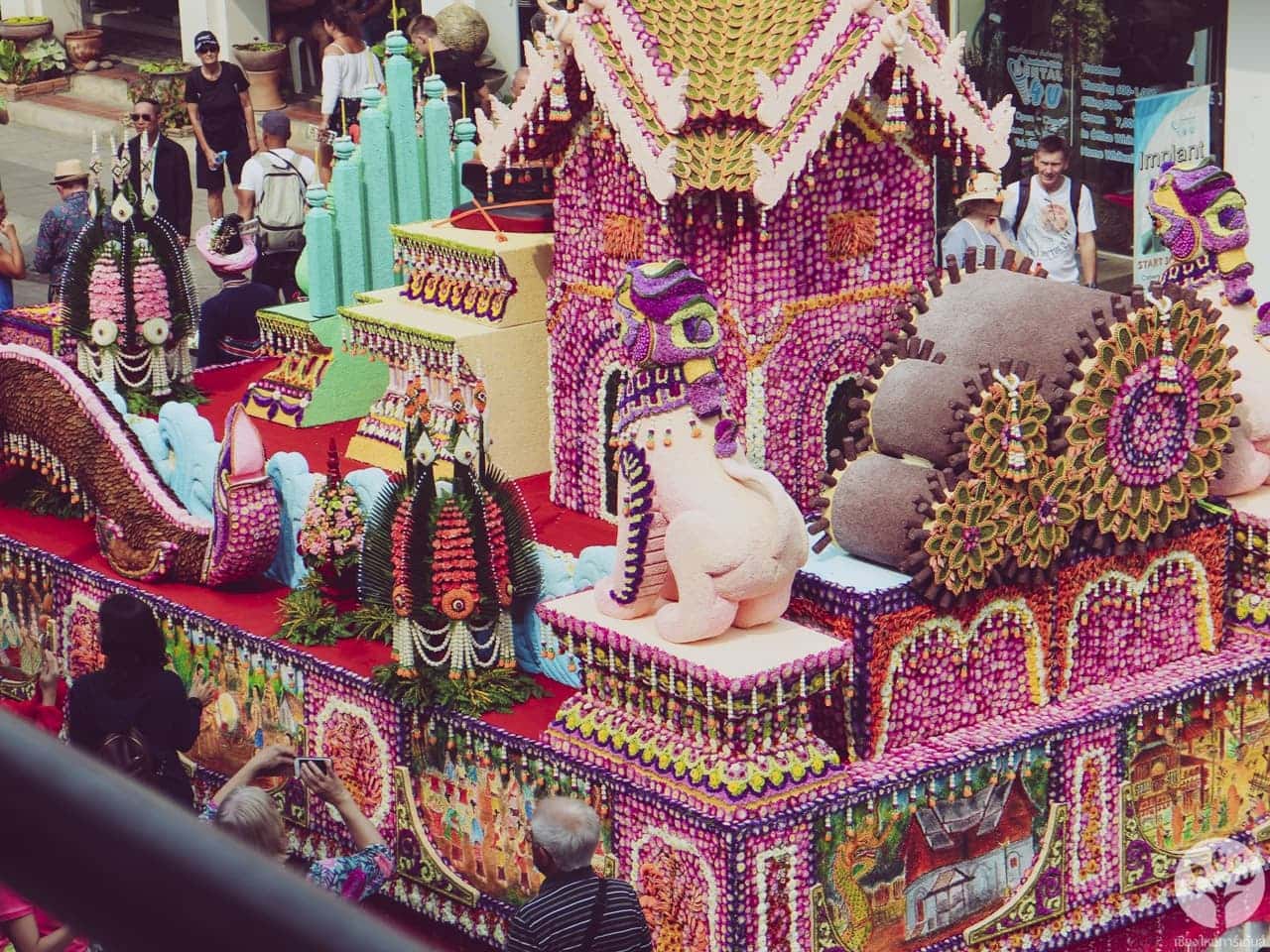 งานไม้ดอก ไม้ประดับ เชียงใหม่ 2561