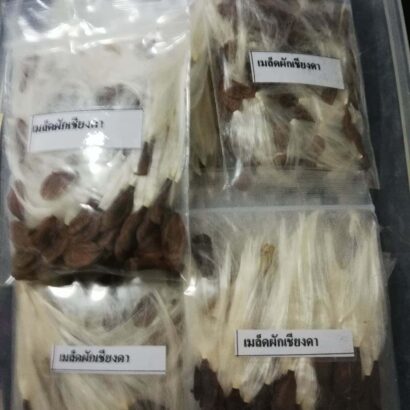 เมล็ดผักเชียงดา