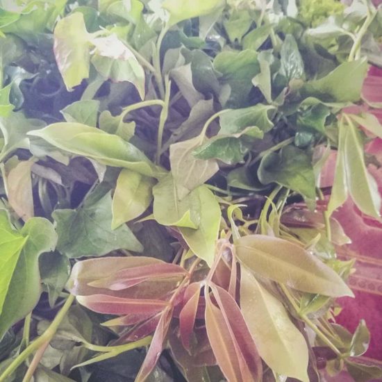 ผักกับลาบ