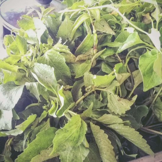 ผักกับลาบ