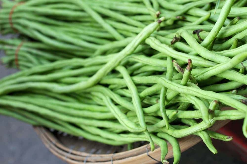 ถั่วฝักยาว