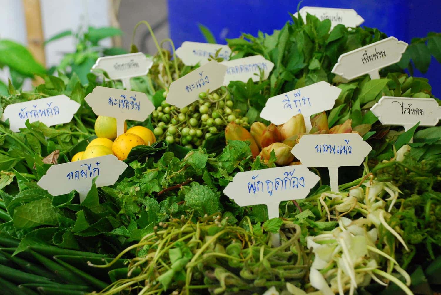 ผักกับลาบ