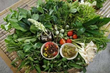 ผักกับลาบเมือง รสชาติอร่อย สรรพคุณเยี่ยม ประโยชน์สารพัด