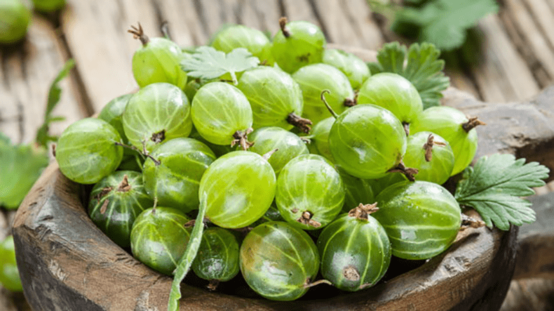 มะขามป้อม